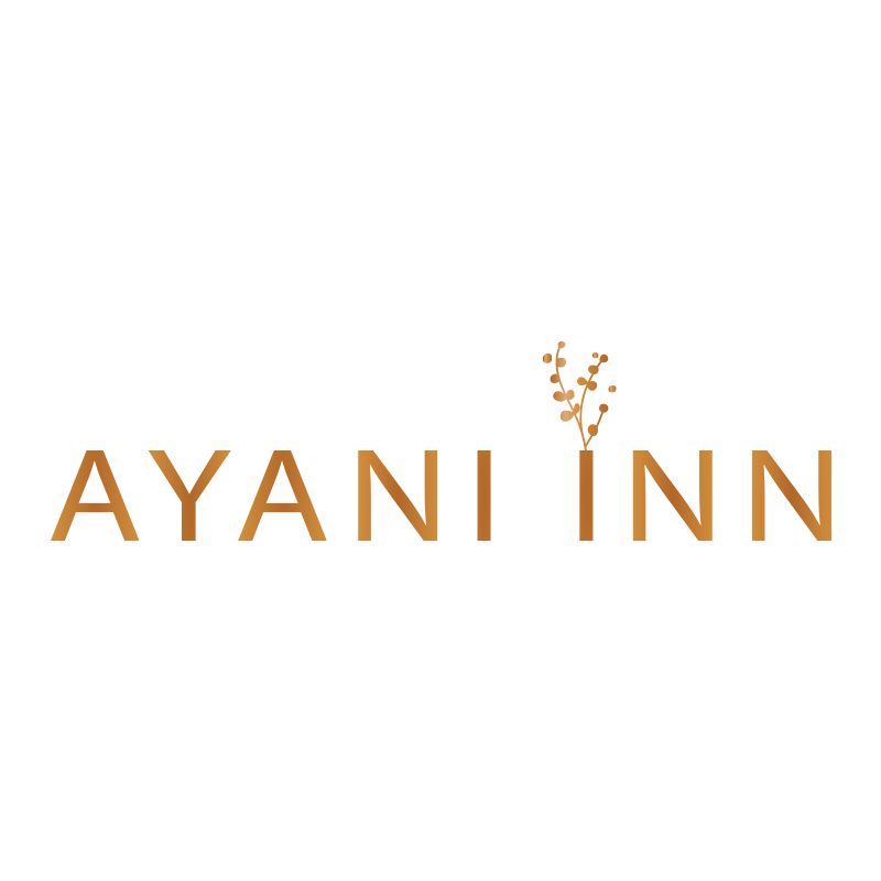 Ayani INN logo